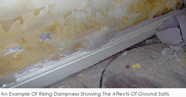 An Example Of Rising Dampness Showing The Affects Of Ground Salts