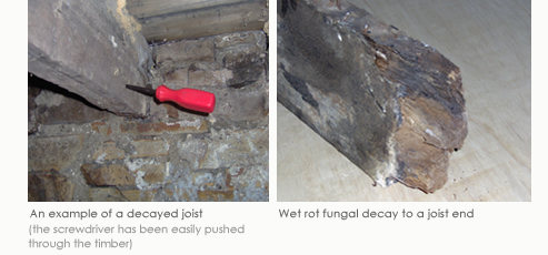 Example of a decayed joist and wet fungal decay to a joist end
